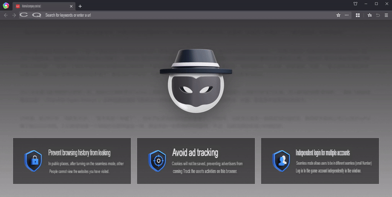 Incognito browsing privacy protection